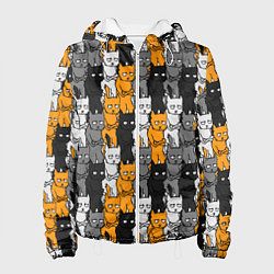 Куртка с капюшоном женская Злой Кот мем, цвет: 3D-белый