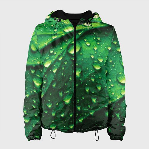 Женская куртка Утренняя роса / 3D-Черный – фото 1