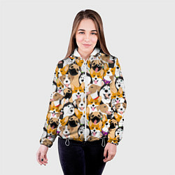 Куртка с капюшоном женская Хаски, Джек-рассел-терьер, Мопс, Корги, цвет: 3D-белый — фото 2