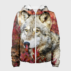 Куртка с капюшоном женская Волк в кустах, цвет: 3D-белый