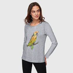 Лонгслив хлопковый женский Любимый попугай, цвет: меланж — фото 2