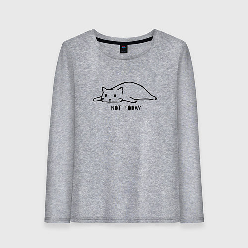 Женский лонгслив Кот не сегодня / Меланж – фото 1