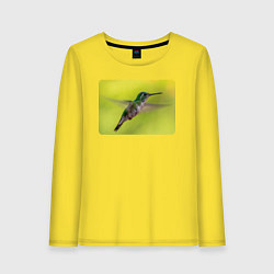 Лонгслив хлопковый женский Милая колибри, цвет: желтый