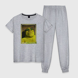 Пижама хлопковая женская Шрек в очках, цвет: меланж