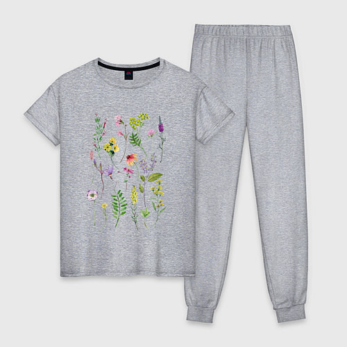 Женская пижама Полевые растения цветы ботаника / Меланж – фото 1