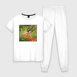 Женская пижама Газель антилопа среди деревьев