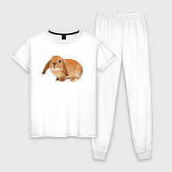 Пижама хлопковая женская Рыжий пушистый кролик, цвет: белый
