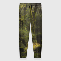 Брюки женские Лесная глушь, цвет: 3D-принт