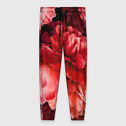 Женские брюки Цветы Красные Пионы