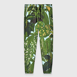 Женские брюки Зеленые Тропические Растения