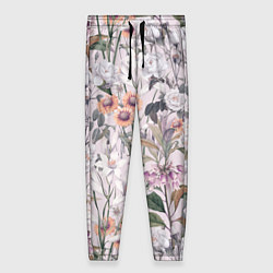 Женские брюки Цветы Эхинацеи