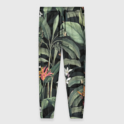 Женские брюки Цветы Зелёных Джунглей