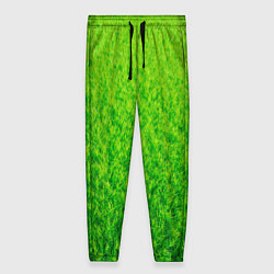 Женские брюки Трава зеленая