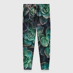 Женские брюки Паттерн из множество зелёных цветов