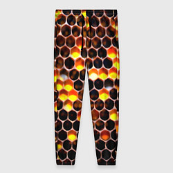 Брюки женские Медовые пчелиные соты, цвет: 3D-принт