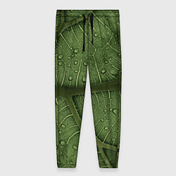 Женские брюки Текстура зелёной листы