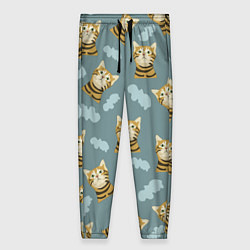 Брюки женские Кот в облоках, цвет: 3D-принт