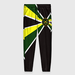 Брюки женские Мотострелковые войска: шеврон без текста, цвет: 3D-принт