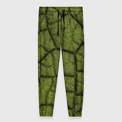 Брюки женские Микромир, цвет: 3D-принт