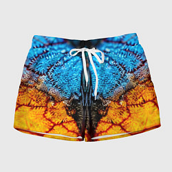 Женские шорты Макро крыло бабочки