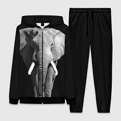 Женский 3D-костюм Старый слон, цвет: 3D-черный