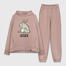 Женский костюм оверсайз Большой кролик 2023, цвет: пыльно-розовый