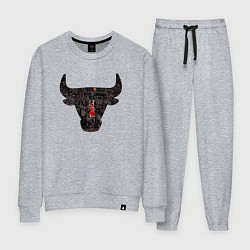 Костюм хлопковый женский Bulls - Jordan, цвет: меланж
