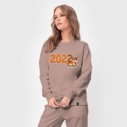 Костюм хлопковый женский 2022 - Год Тигра, цвет: пыльно-розовый — фото 2