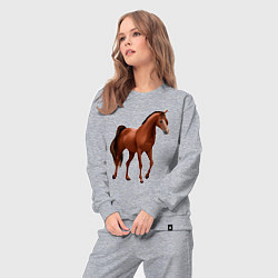 Костюм хлопковый женский Тракененская лошадь, цвет: меланж — фото 2
