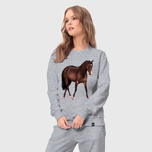 Женский костюм Австралийская пастушья лошадь / Меланж – фото 3