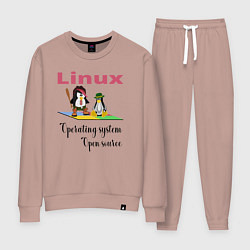 Костюм хлопковый женский Линукс пингвин система, цвет: пыльно-розовый