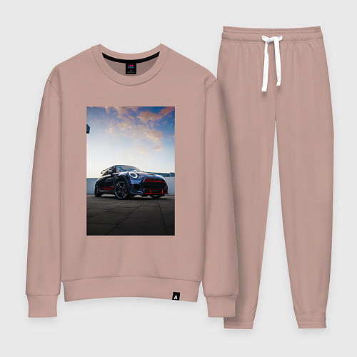 Женский костюм Авто на фоне неба / Пыльно-розовый – фото 1