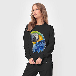 Костюм хлопковый женский Сине-золотой попугай ара, цвет: черный — фото 2