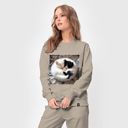 Костюм хлопковый женский Два любящих котика обнимаются клубочком, цвет: миндальный — фото 2