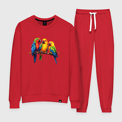 Костюм хлопковый женский Разговор попугаев, цвет: красный