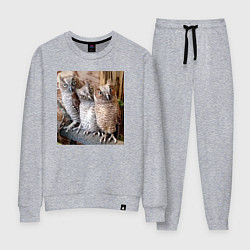 Костюм хлопковый женский Три совы - мем, цвет: меланж