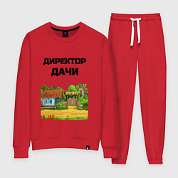 Женский костюм Дачный директор