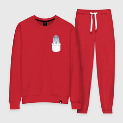 Костюм хлопковый женский Wolf Chan in pocket, цвет: красный