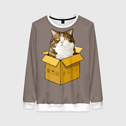 Женский свитшот Котик в коробке