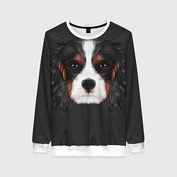 Свитшот женский Cavalier King Charles, цвет: 3D-белый