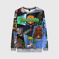 Женский свитшот Terraria