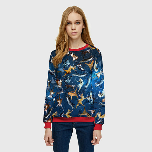 Женский свитшот Космические коты / 3D-Красный – фото 3