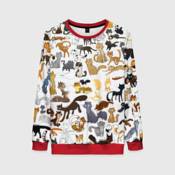 Свитшот женский Котоколлаж 01, цвет: 3D-красный