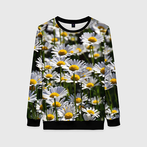 Женский свитшот Ромашки / 3D-Черный – фото 1