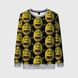 Свитшот женский Шрек навсегда, цвет: 3D-меланж