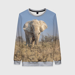 Свитшот женский Африканский белый слон, цвет: 3D-меланж