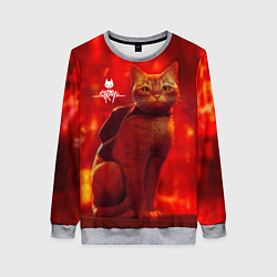 Женский свитшот The Stray