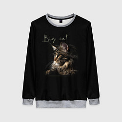 Свитшот женский Big cat Maine Coon, цвет: 3D-меланж