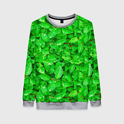 Женский свитшот Зелёные листья - текстура