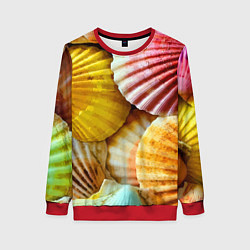 Женский свитшот Разноцветные створки океанских раковин
